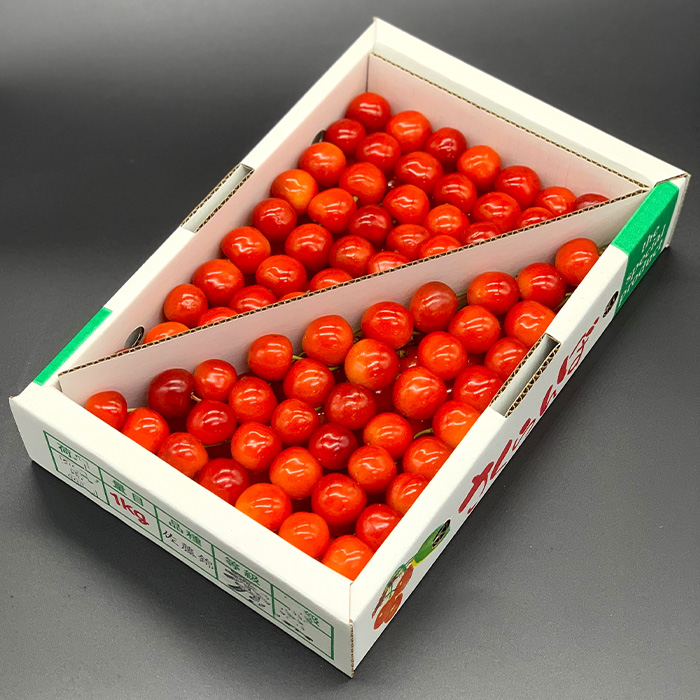 【定期便3回】やまがた秀逸フルーツ 贈答品クラス 【令和8