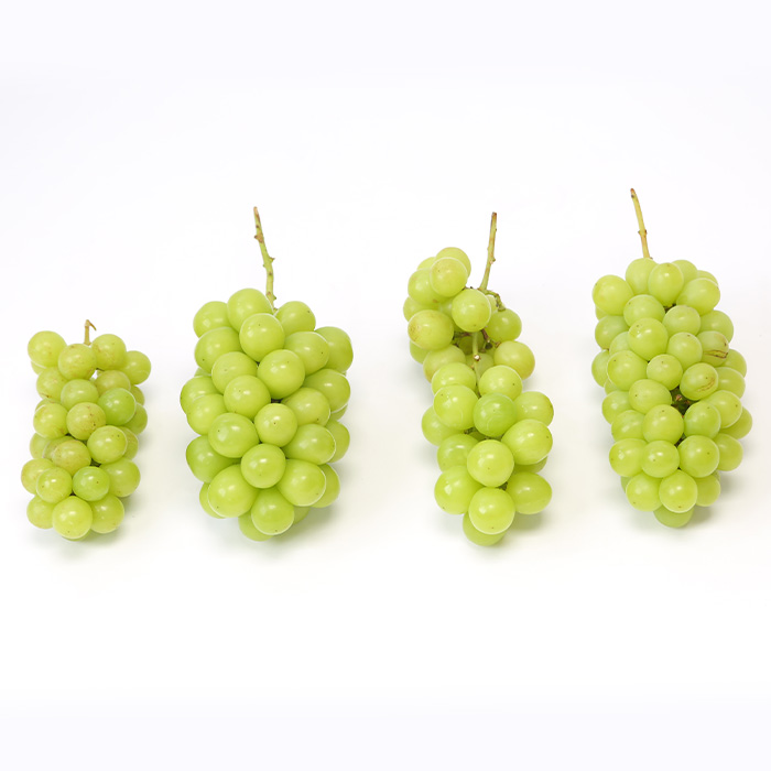 ☆フルーツ王国山形☆[訳あり] シャインマスカット1kg (1～3