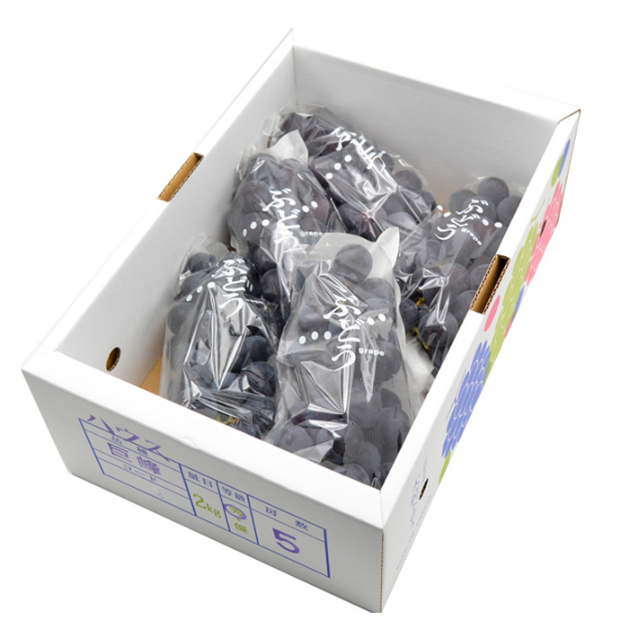 山形のぶどう 巨峰 秀品 約2kg(3～6房)[9月中旬～10月中旬お届