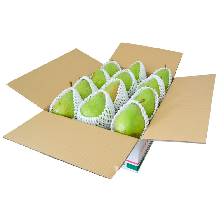 山形の洋梨 マリゲットマリーラ 秀品 約5kg(7～15玉)【令和8