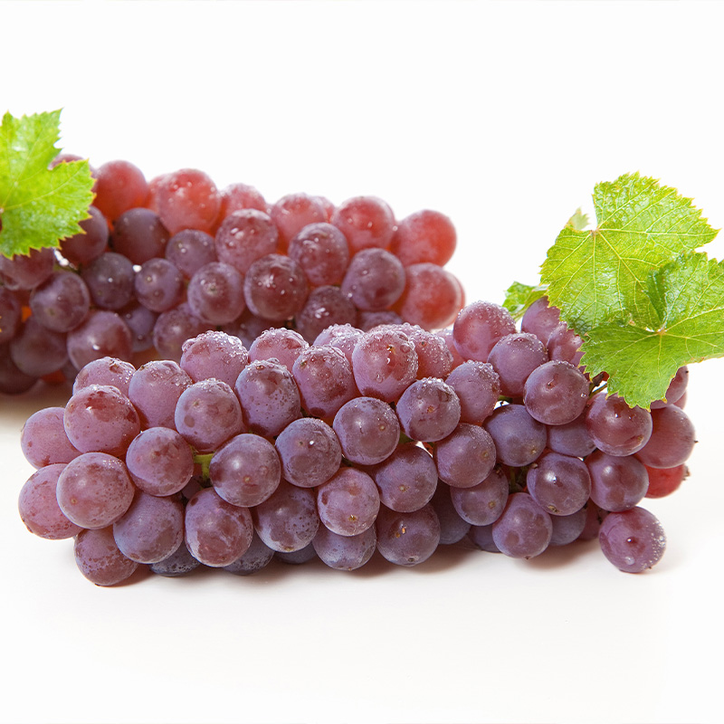 【定期便4回】やまがた 秋風フルーツライン定期便【令和8