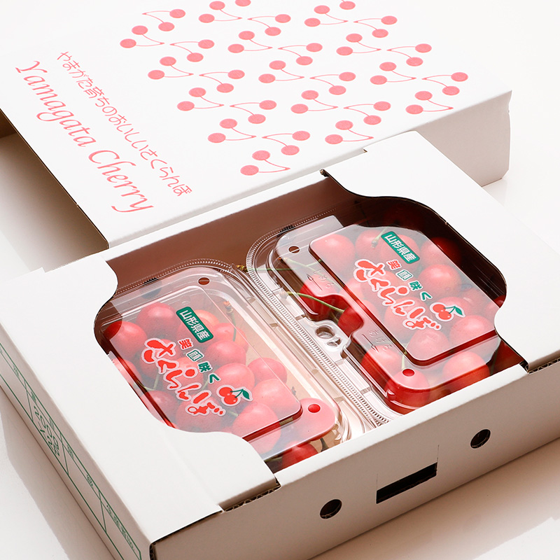 【定期便7回】七つ星フルーツ便【令和8年産先行予約】FS25-6