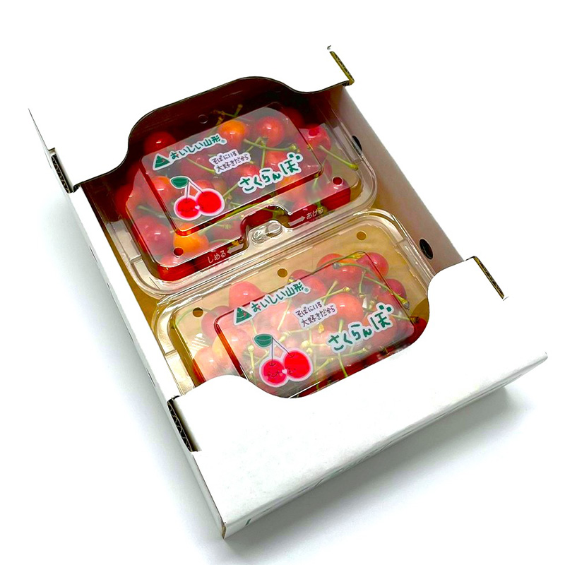 【定期便4回】６種を味わうフルーツの楽園Ａ【令和8年産先