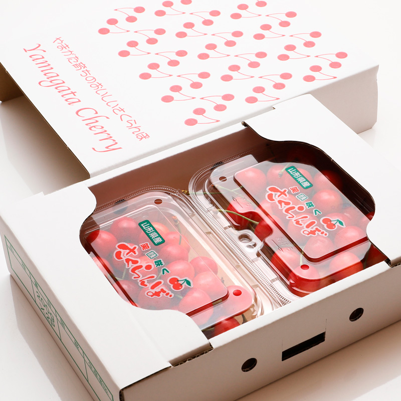 【定期便5回】定番フルーツの幸福便【令和8年産先行予約】