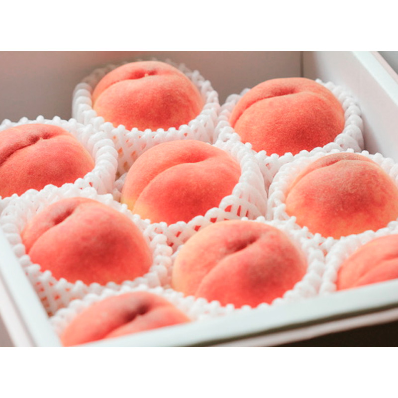 山形自慢の白桃 秀品 3kg (柔らかくなる桃) 【令和8年産先行