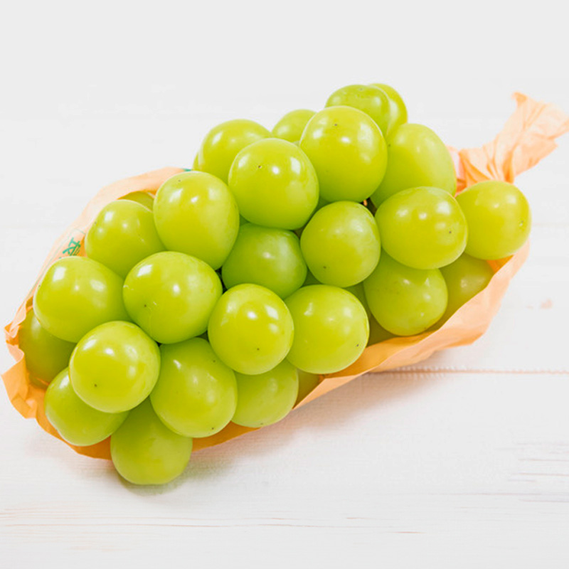 山形の大房シャインマスカット 700g以上 1房 【令和8年産先