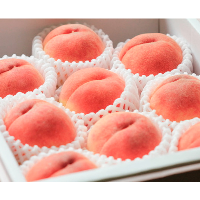 【定期便2回】甘さぎっしり！山形やわらか果実の定期便 【