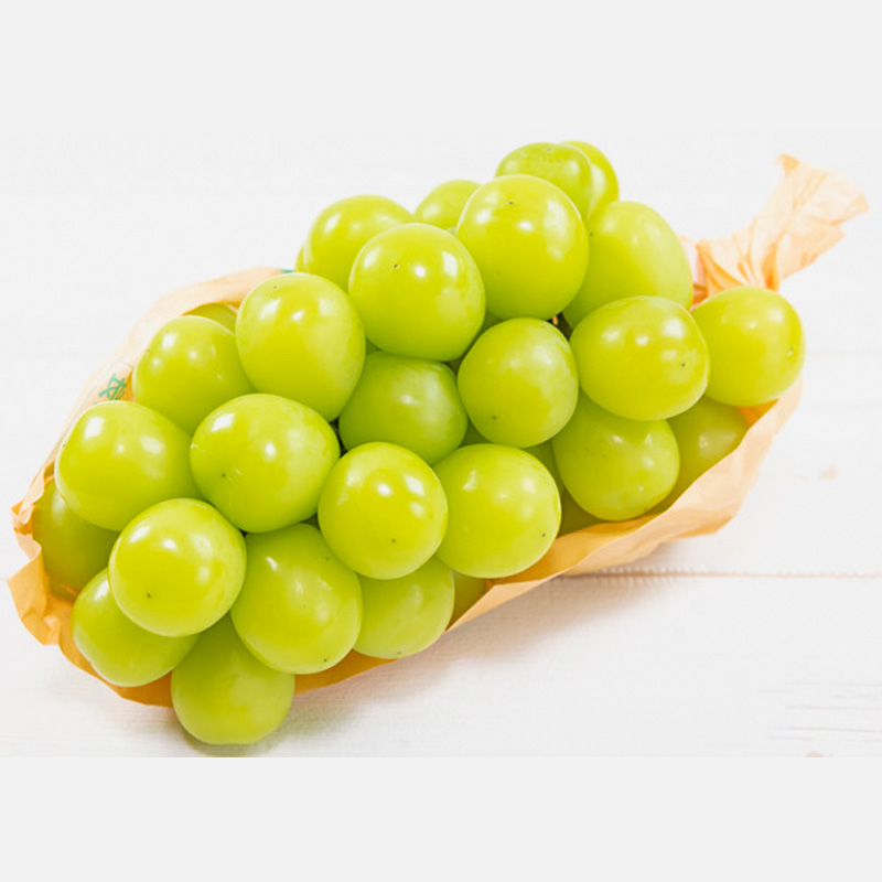 【定期便4回】ノノハナフルーツ　食べ切りおすすめ定期便 