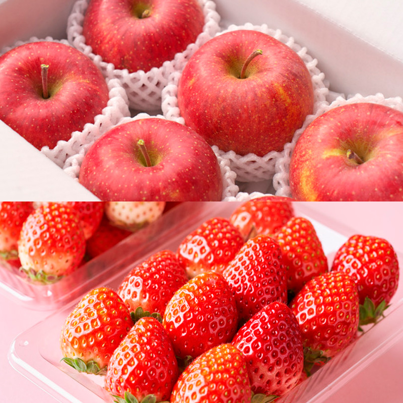 【定期便5回】ノノハナフルーツ やまがた赤の定期便 FY25-812