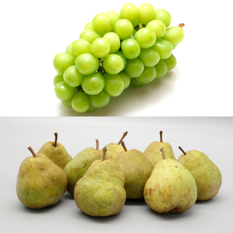 【定期便6回】山形フルーツ デラックス定期便 FY25-825