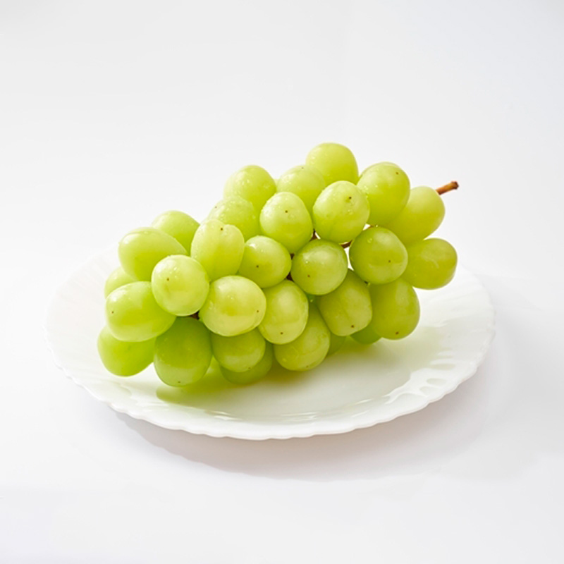 【定期便3回】人気フルーツ まるかじり定期便 FY25-826