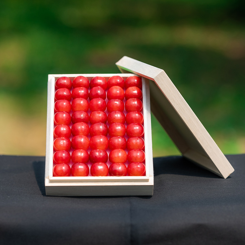 さくらんぼ 「佐藤錦」 300g 特秀品 2Lサイズ 桐箱入 山形産