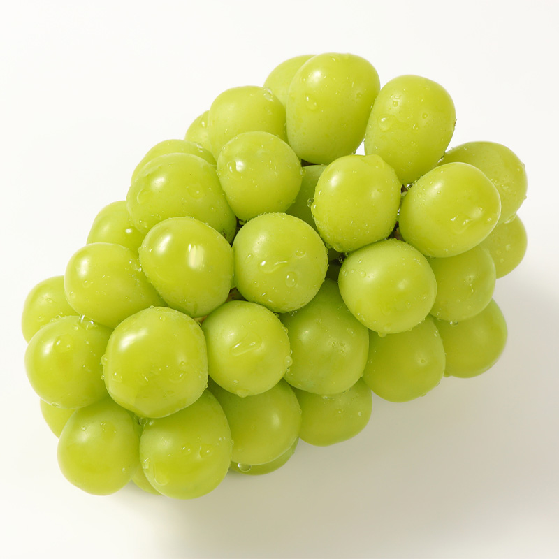 【厳選の1房】こだわりの シャインマスカット 600g以上 山形