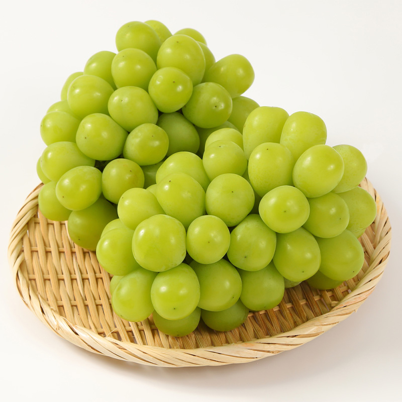 【満足の2～3房】こだわりのシャインマスカット 約1.2kg 山