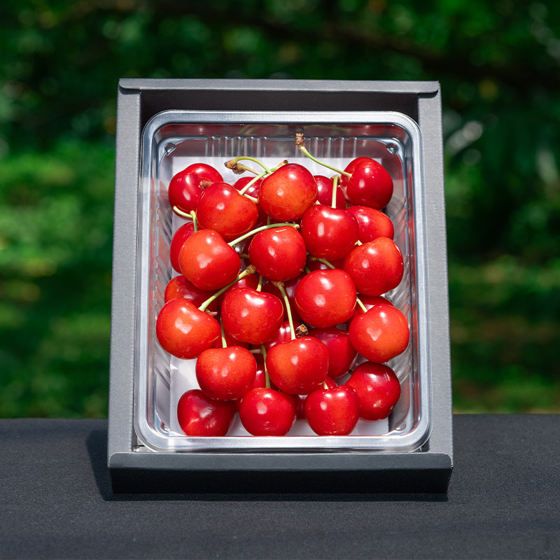 さくらんぼ 「紅秀峰」 300g 特秀品 2Lサイズ以上 山形産【令