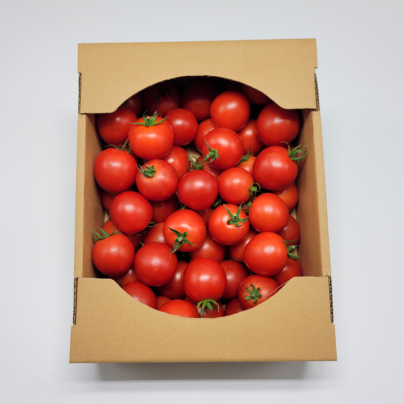 トマト＝フルーツ？！山形のフルティカトマト 約2kg FY24-079