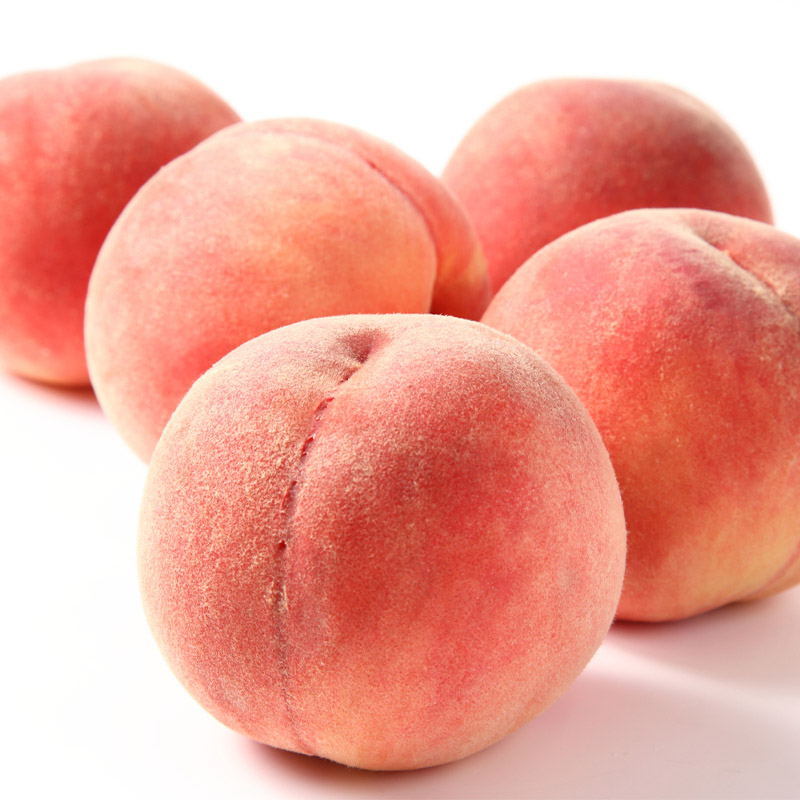 山形産 柔らかめ 「白桃」 秀品 約2kg (5玉～8玉)【令和8年産