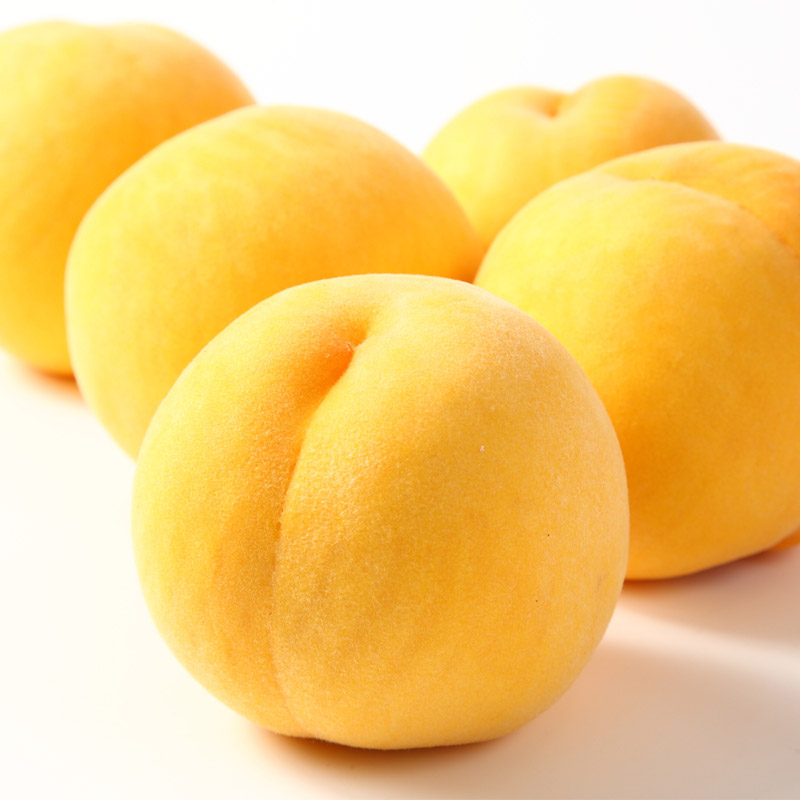 山形産 硬め 「黄桃」 秀品 約2kg (5玉～8玉)【令和8年産先行