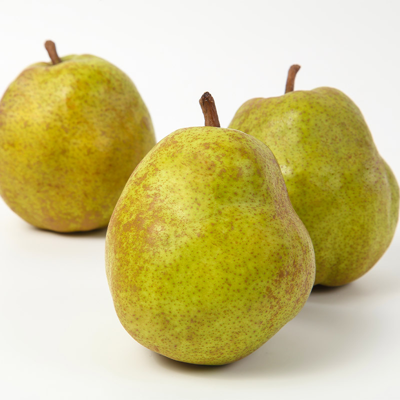 山形産 「ラ・フランス」 特秀品 3kg (8～13玉)【令和7年産先