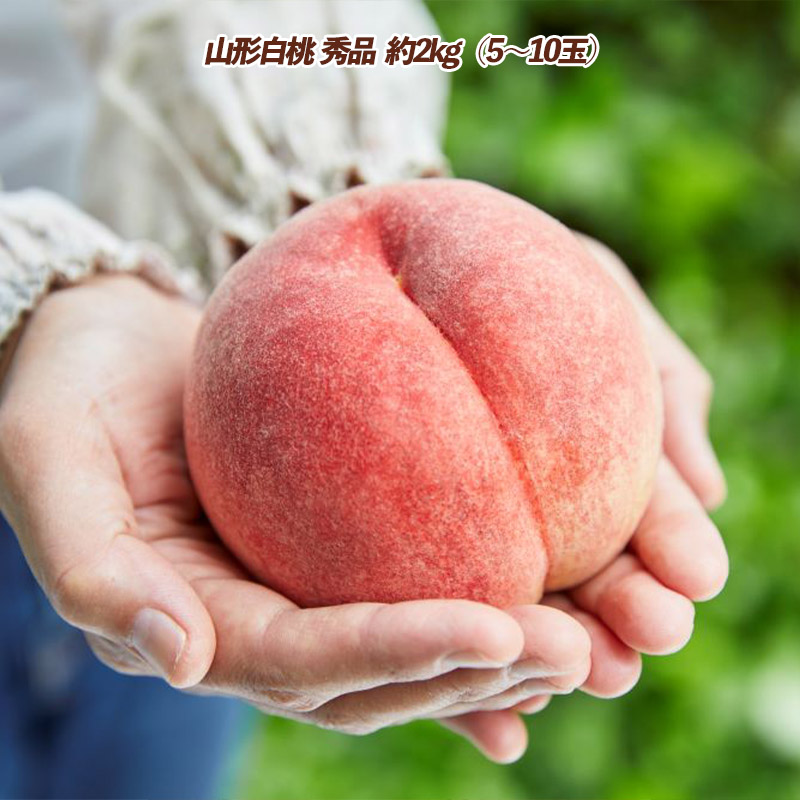 【定期便3回】みんな大好き！３種の美味しい果物定期便 FY2