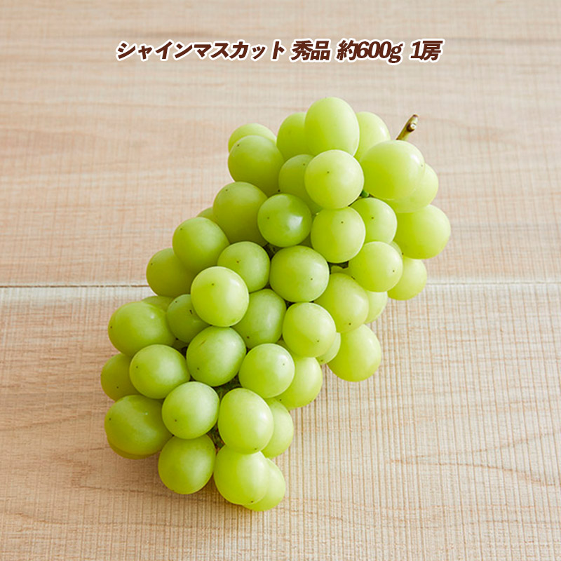 【定期便3回】皮ごとパリッ！ジューシーな果汁のシャイン