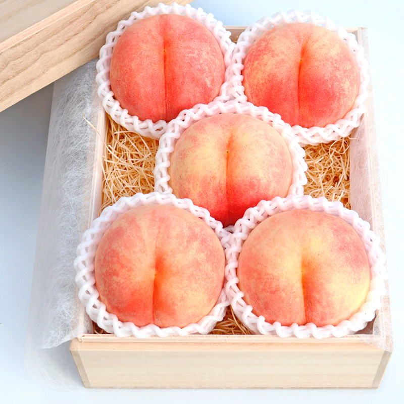 【定期便３回】山形フルーツ 極上セット 桐箱入り【令和8