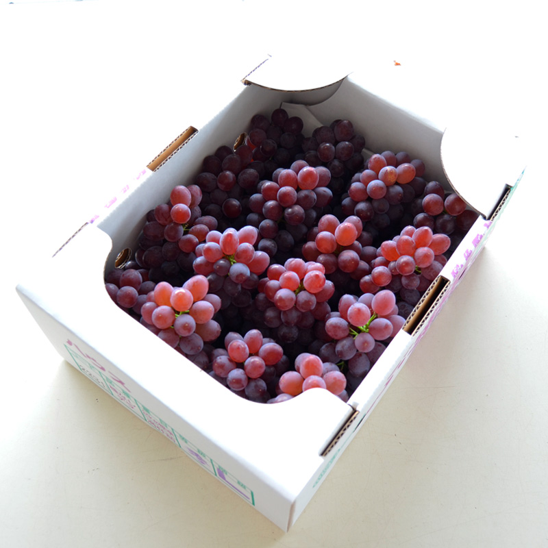 【ご家庭用】山形のデラウエア M～3L 約2kg(9～22房) [粒サイ