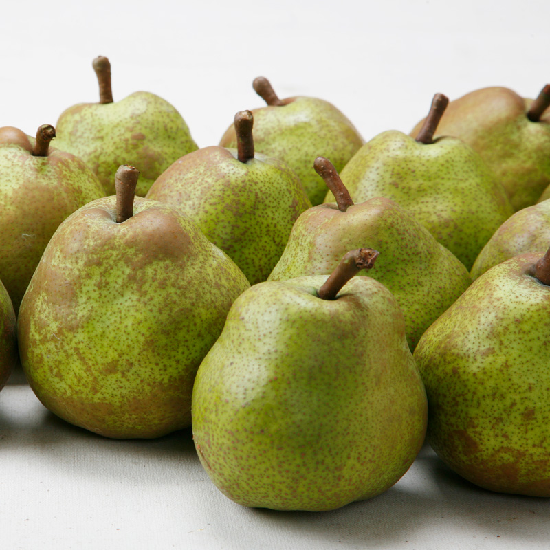 山形のラ・フランス 秀品 約5kg(12～20個) FY25-828