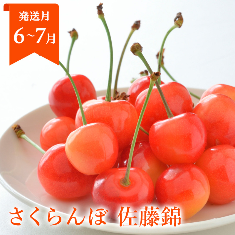 【定期便3回】山形まるごと！人気のくだものベスト3 FZ25-959