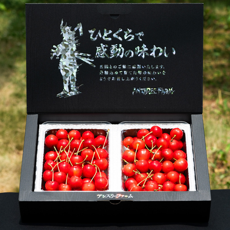 2026年産 さくらんぼ 「紅秀峰」 600g 特秀品 Lサイズ以上 山