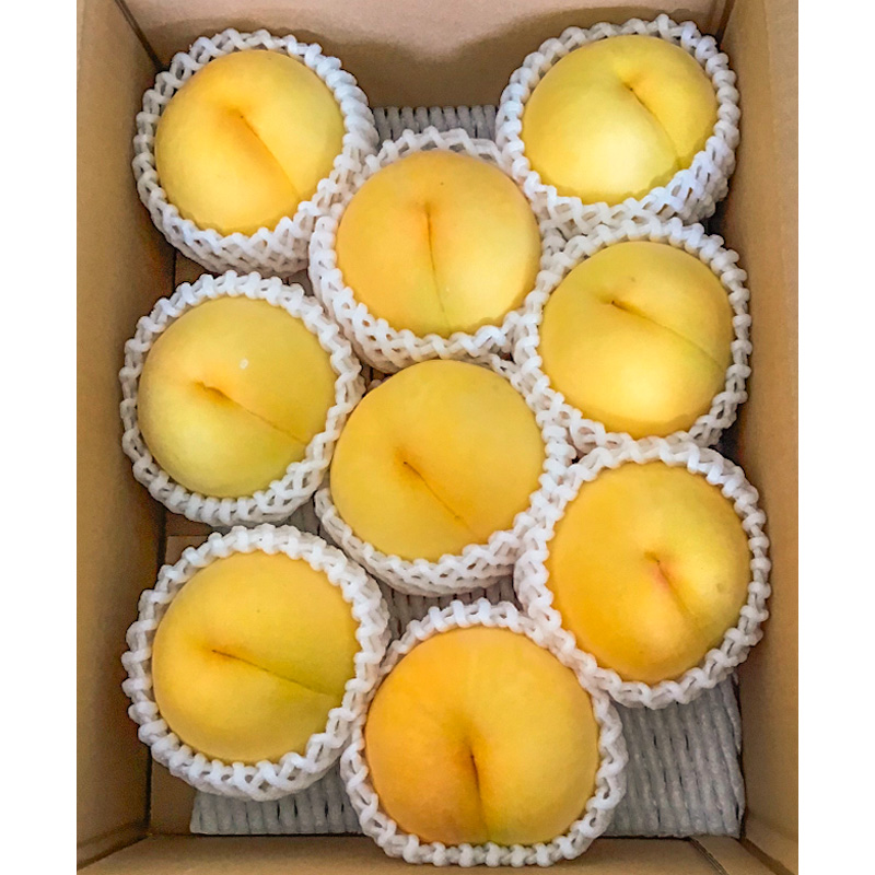 山形市産 黄桃 秀品 2kg(４～８玉) 柔らかくなる桃【令和8年