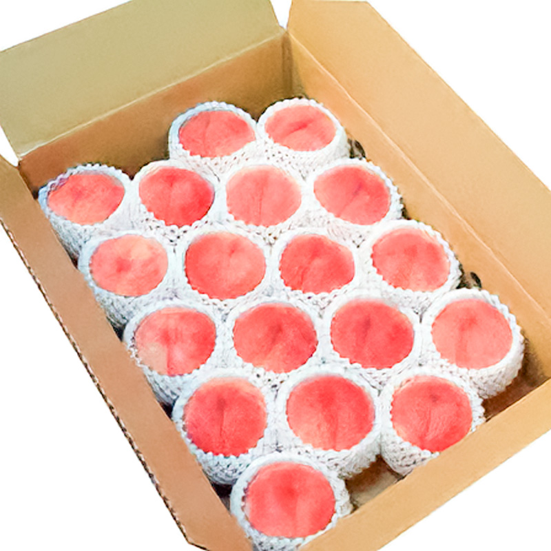 山形市産 白桃 特秀品 約5kg (12～20玉) 柔らかくなる桃【令和