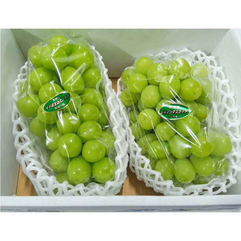 山形産 シャインマスカット 約1.5kg(2房)【令和8年産先行予約