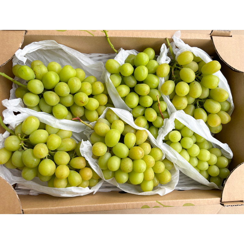 [ご家庭用]山形産 シャインマスカット 約5kg (5房～11房） 【