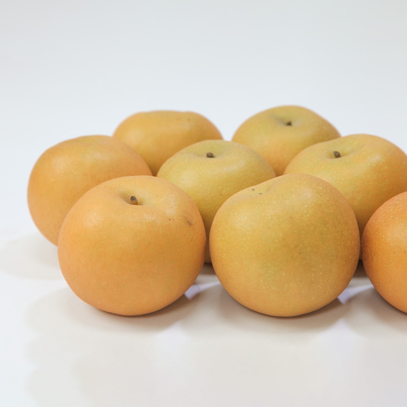 ☆フルーツ王国山形☆和梨 (王秋) 秀品 3kg【令和8年産先行