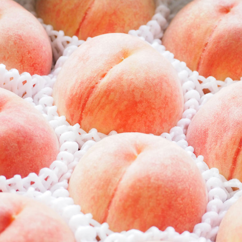 【定期便2回】フルーツ王国山形 旬の桃とシャインマスカッ