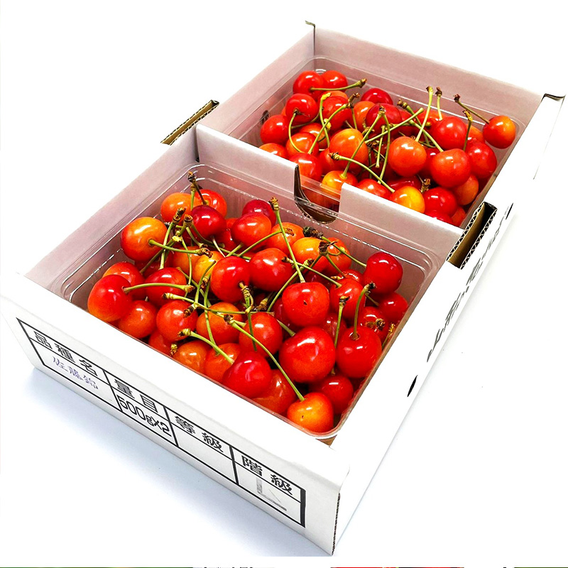 【定期便2回】赤い宝石！さくらんぼの楽園便 【令和8年産