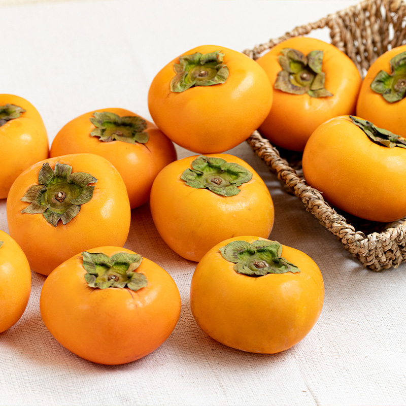 【定期便3回】心温まる冬の果実便【令和8年産先行予約】FS2