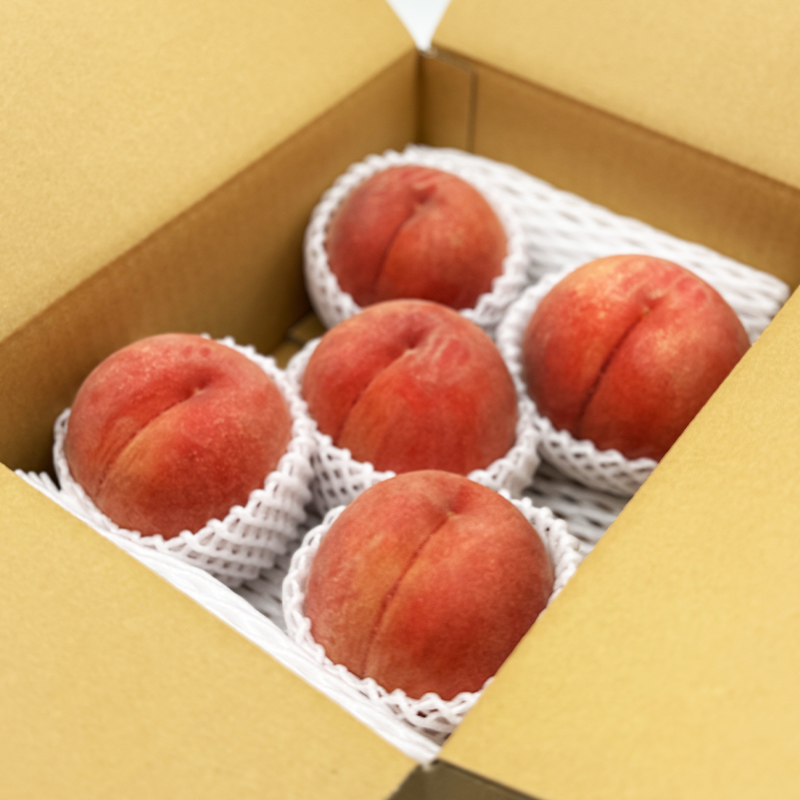 【定期便3回】やまがた みちのくフルーツ便 ”紅” 山形市