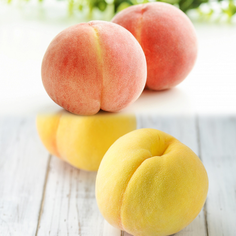 【定期便3回】とびっきりの山形フルーツセット 【令和8年