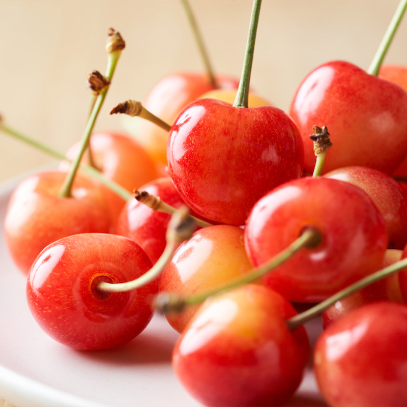 【定期便3回】ノノハナフルーツ さくらんぼからシャインマ