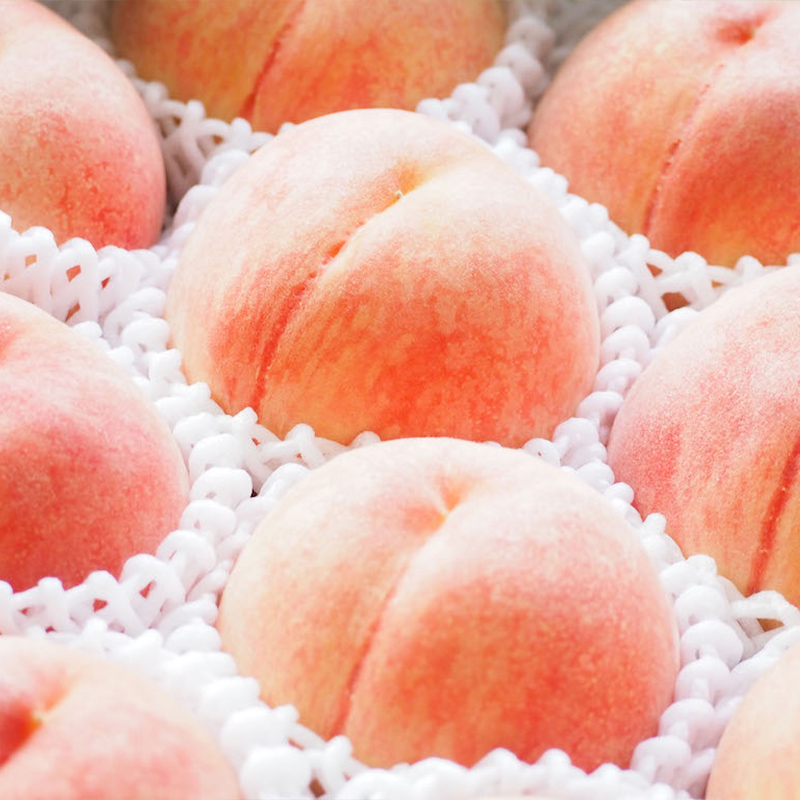 【定期便4回】桃！桃！ぶどう！ぶどう！農家自慢の旬のく