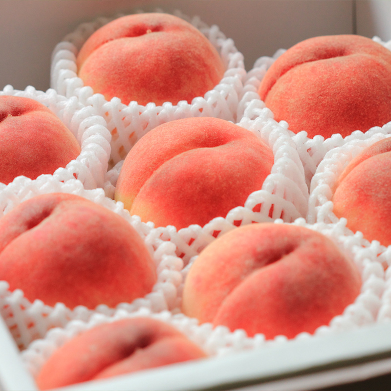 【定期便4回】おいしい山形！ あがらっしゃい定期便 【令