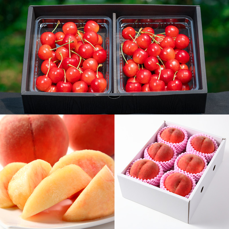 【定期便4回】果物定期便Aコース(さくらんぼ、白桃、シャ