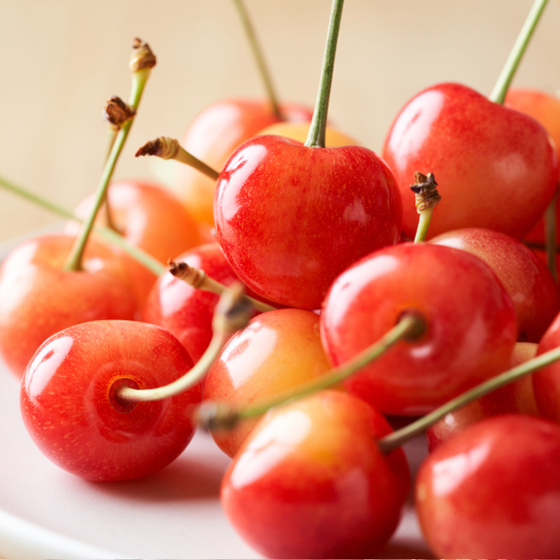 【定期便4回】ノノハナフルーツ さくらんぼからラ・フラン