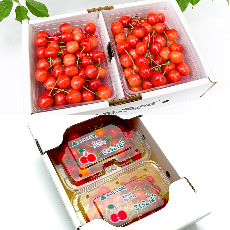 【定期便5回】スペシャル宝箱便 【令和8年産先行予約】FS25-