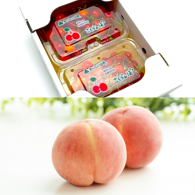 【定期便6回】至高の味わい便 極み 【令和8年産先行予約】F