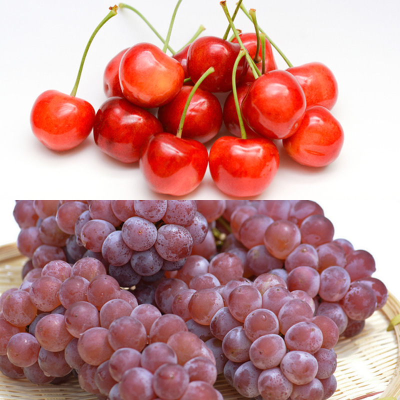 【定期便6回】季節のフルーツ幸せ便8種 【令和7年産先行予