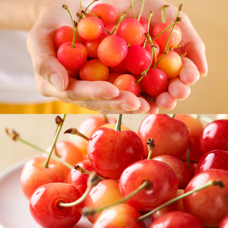 【定期便7回】ノノハナフルーツ　【産地直送】　満喫やま