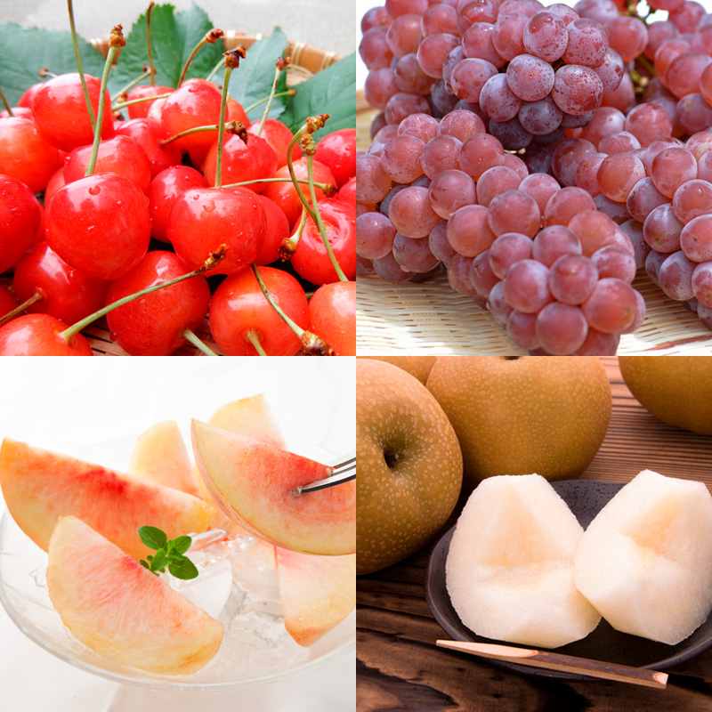 【定期便8回】山形の恵！ふるさと満喫定期便 【令和7年産